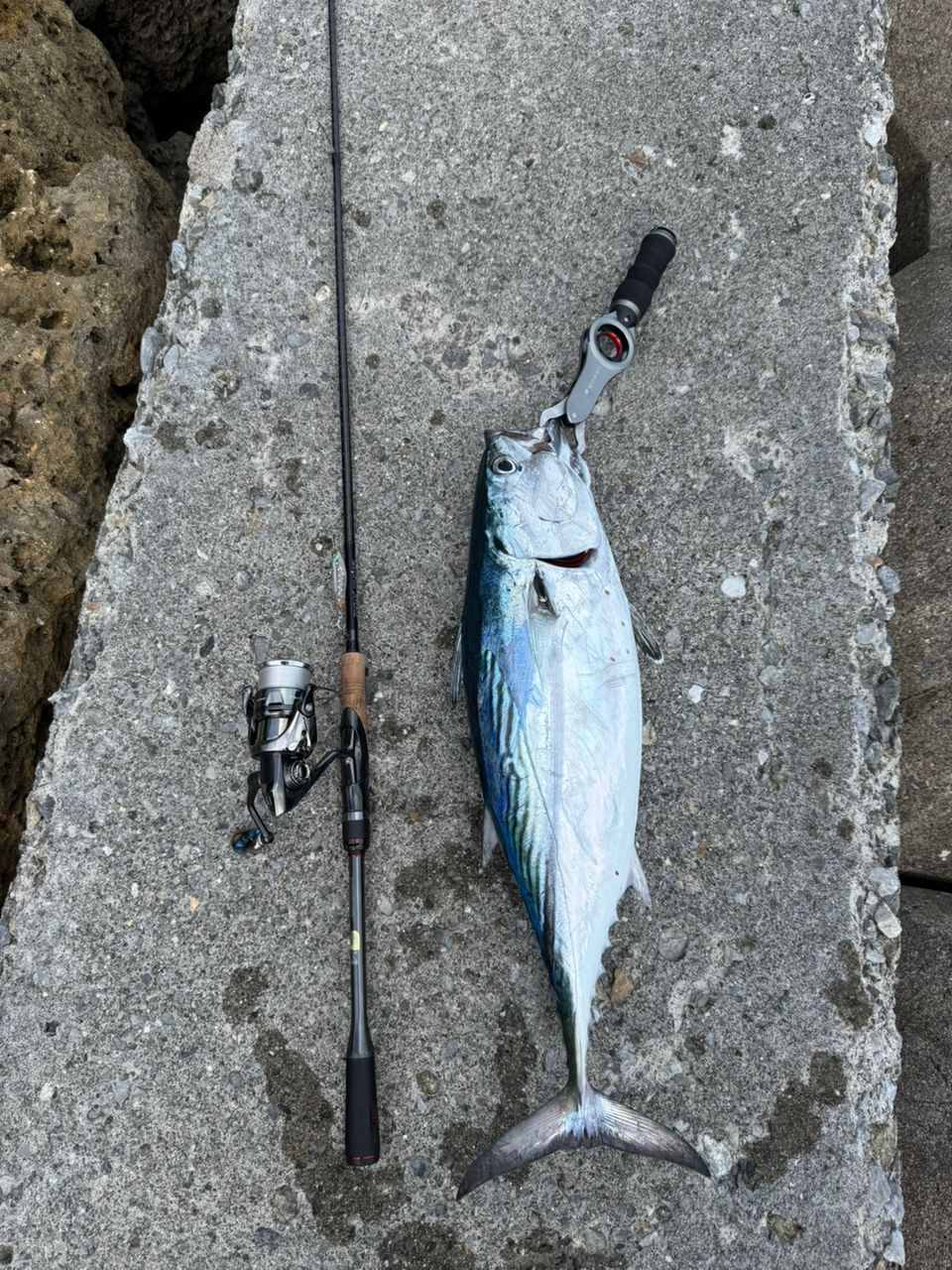 SHIMANO 20セフィア エクスチューン S810MLの最安値・インプレ