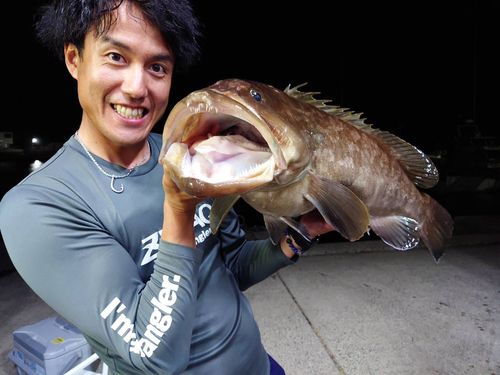 クエの釣果