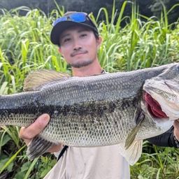 ラージマウスバス