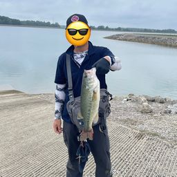 ブラックバス