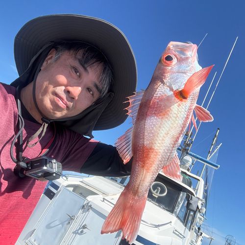 アカムツの釣果