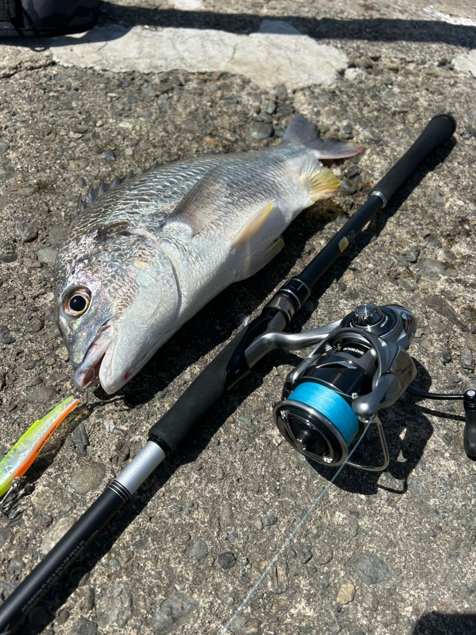 シマノ(SHIMANO) 21 ムーンショット S106M 399915 シマノ ムーンショット S106M (ロッド・釣竿) 価格比較 - 価格.com