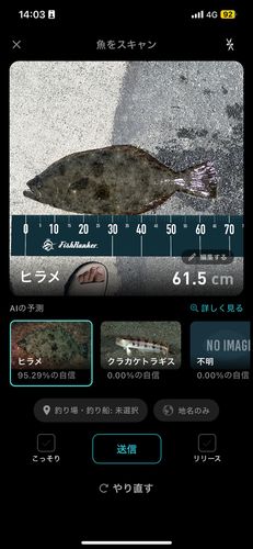 ヒラメの釣果