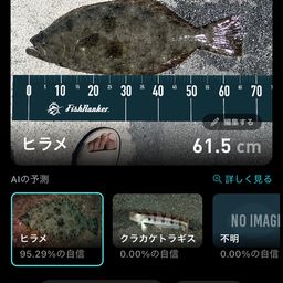 ヒラメ