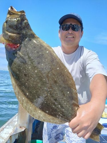 ヒラメの釣果