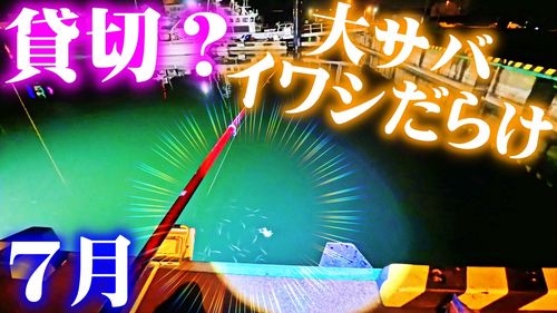 イワシの釣果