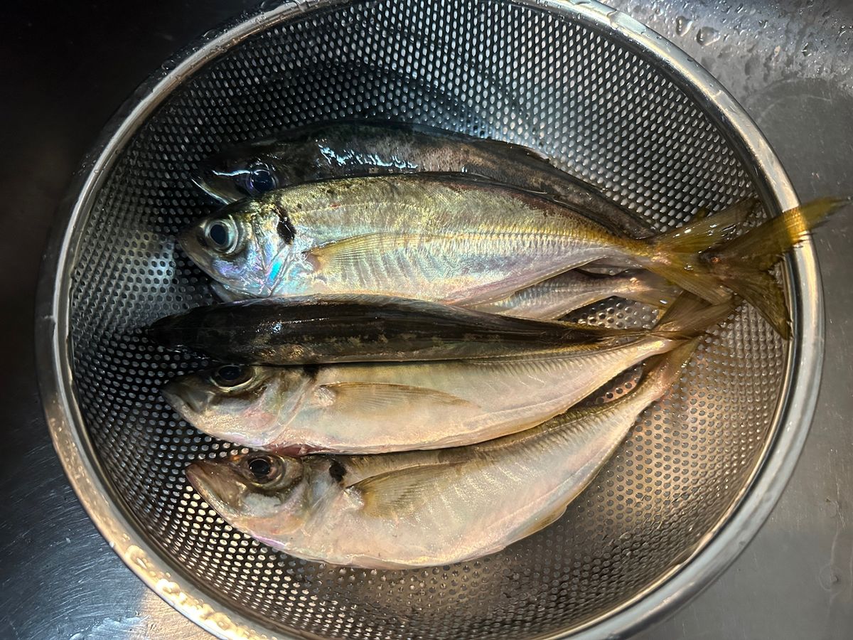 Black Eyesさんの釣果 2枚目の画像