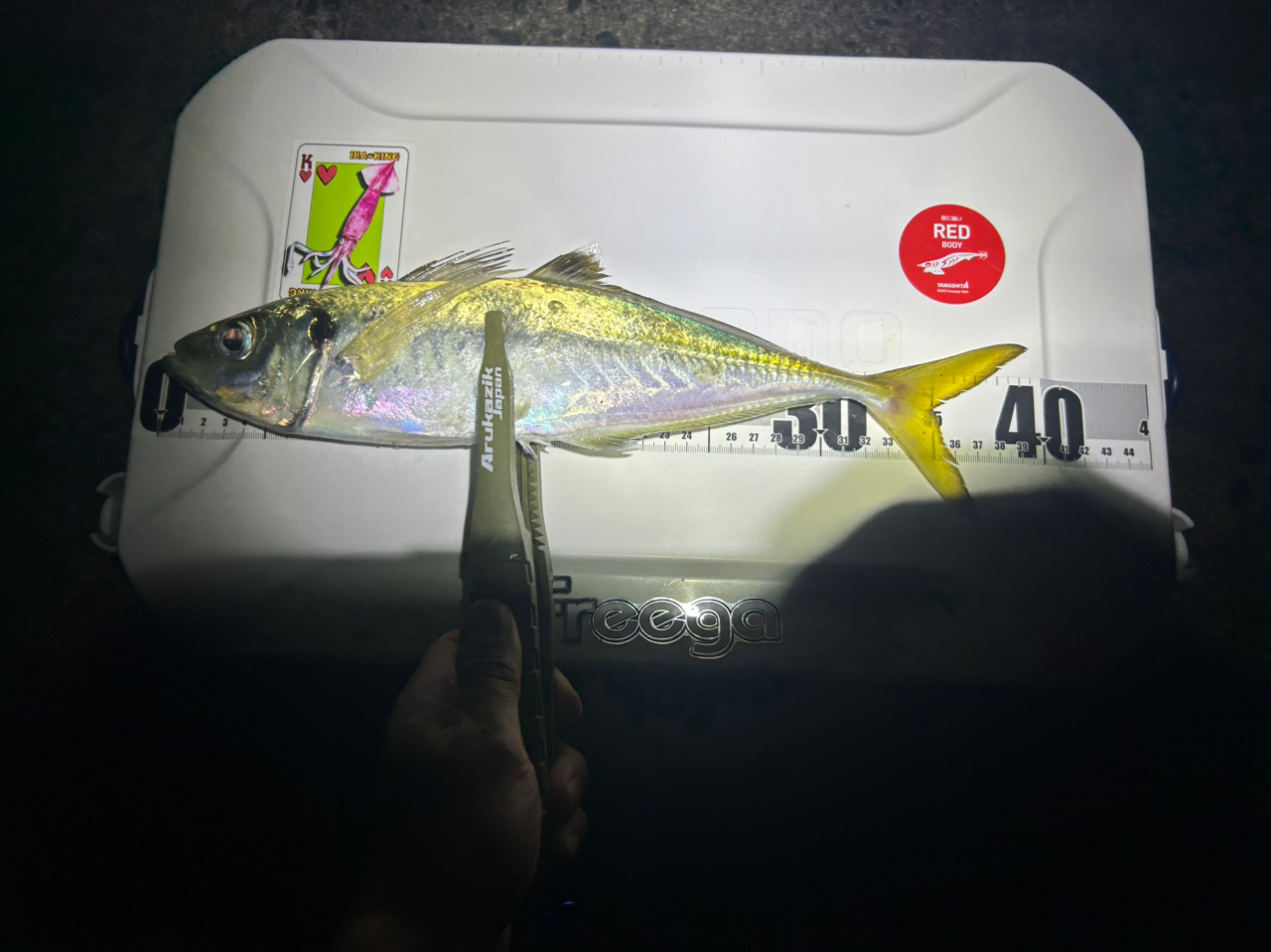 ダイワ　ストイスト　RT 88ML DAIWA 21エメラルダス ストイスト RT 88MLの最安値・インプレ