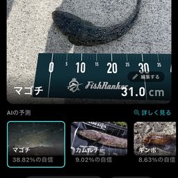 メゴチ