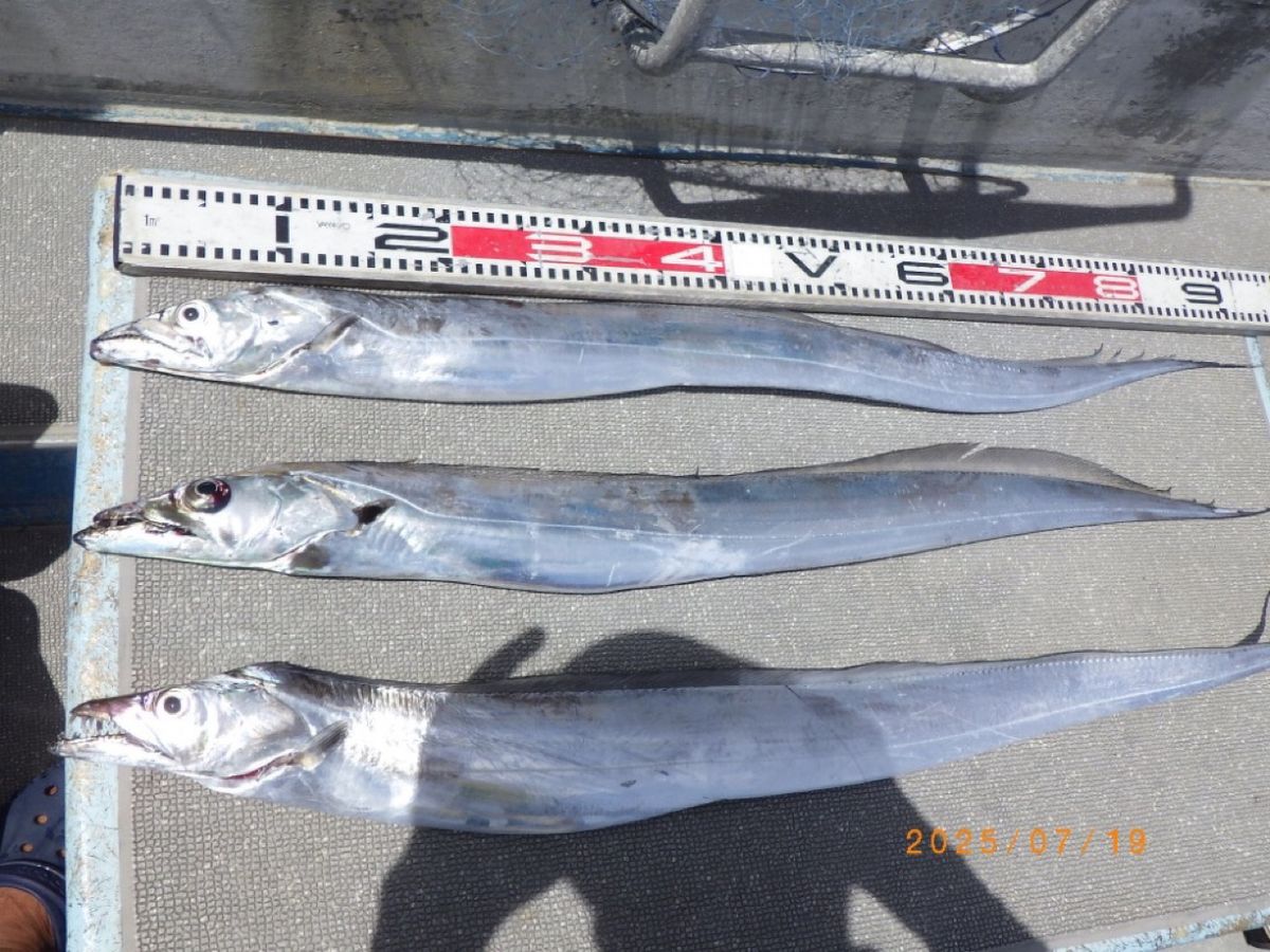 石川釣船@船長さんの釣果 2枚目の画像