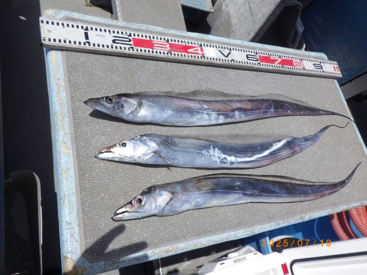 石川釣船@船長さんの釣果 3枚目の画像