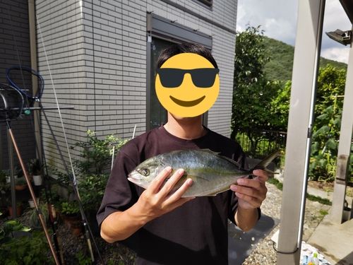 日向湖