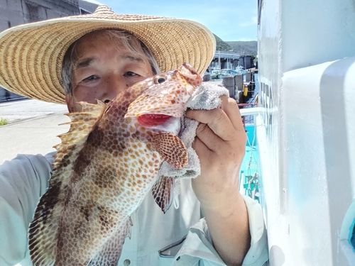 オオモンハタの釣果