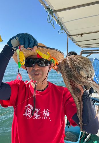 タコの釣果