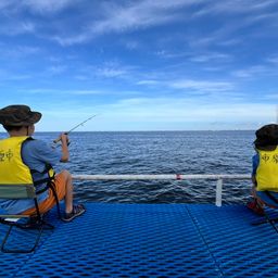 セイゴ（マルスズキ）