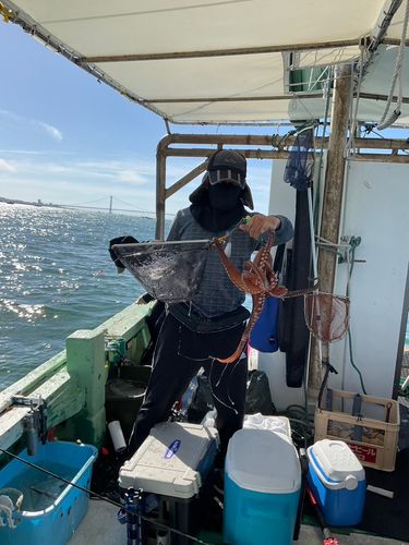 タコの釣果