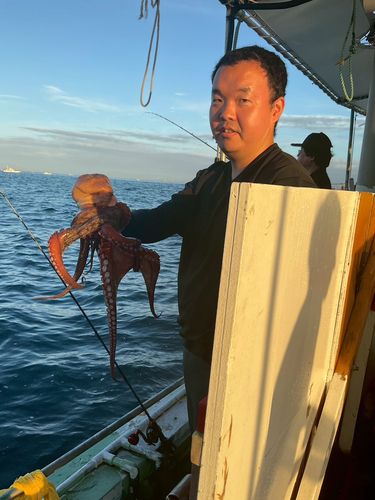 タコの釣果
