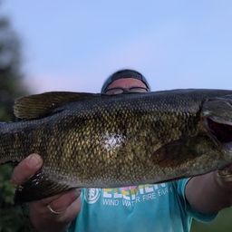 スモールマウスバス