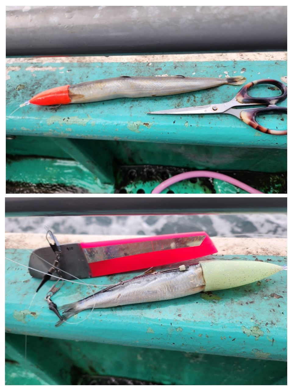 ちかおさんの釣果 2枚目の画像