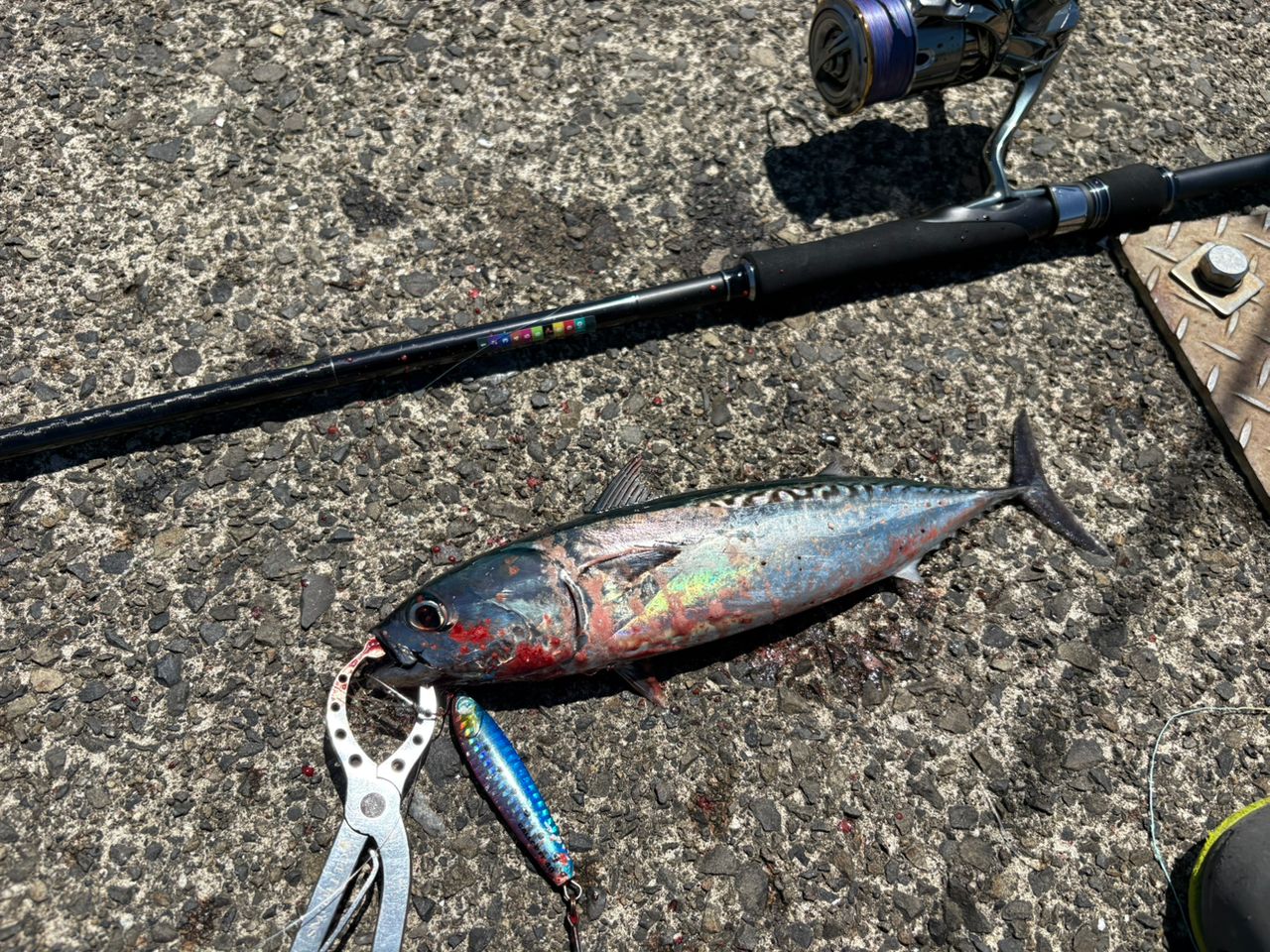 20コルトスナイパー XR S96ML シマノ 20 コルトスナイパー XR S96ML / ショアジギングロッド