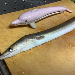 ハモ