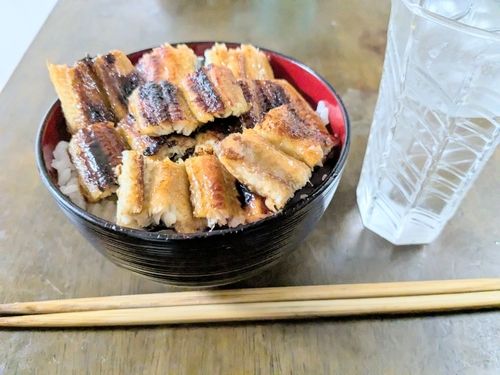ウナギの釣果