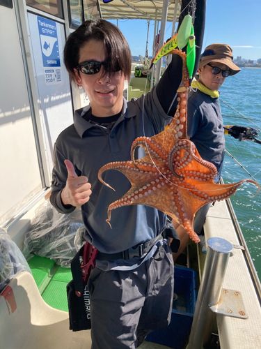 タコの釣果