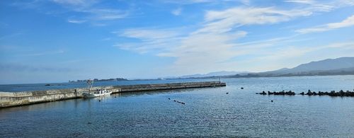 キヌバリの釣果