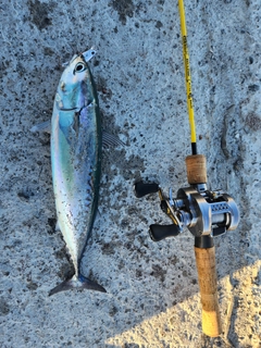 釣果