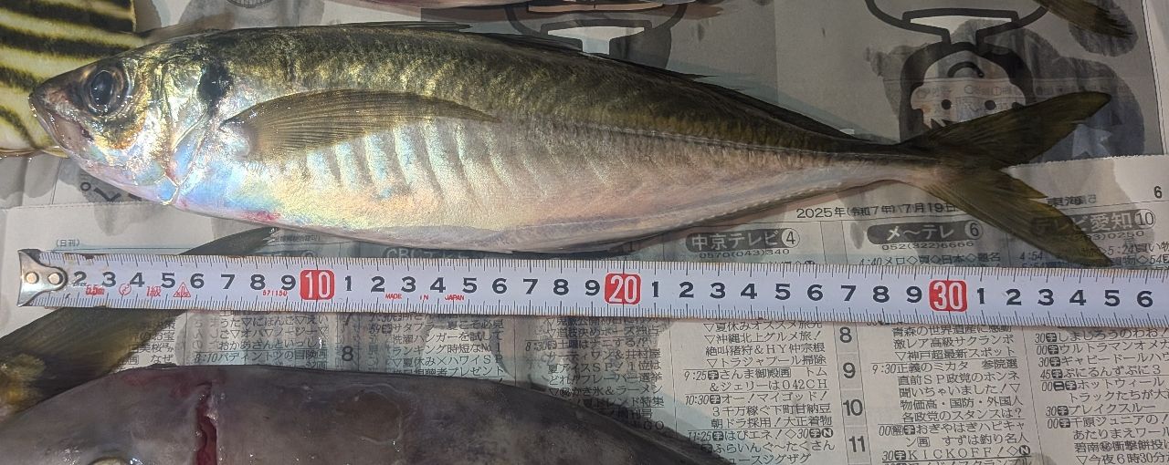 一八丸／三重県の予約可能な船釣りプラン・料金案内-24h受付でお得に