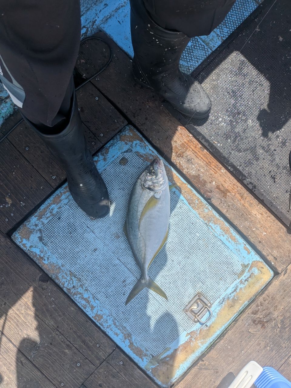 ウナギ釣り柱さんの釣果 2枚目の画像
