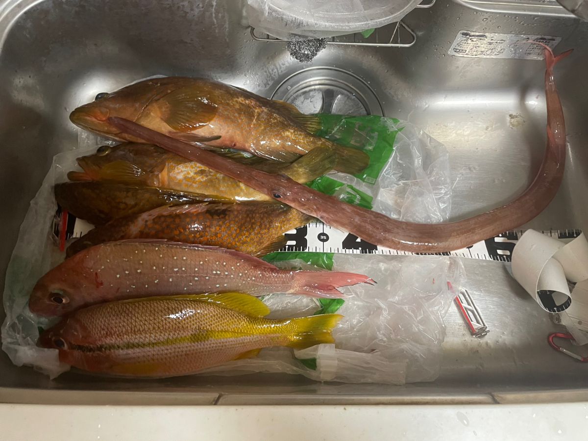 かねきさんの釣果 2枚目の画像