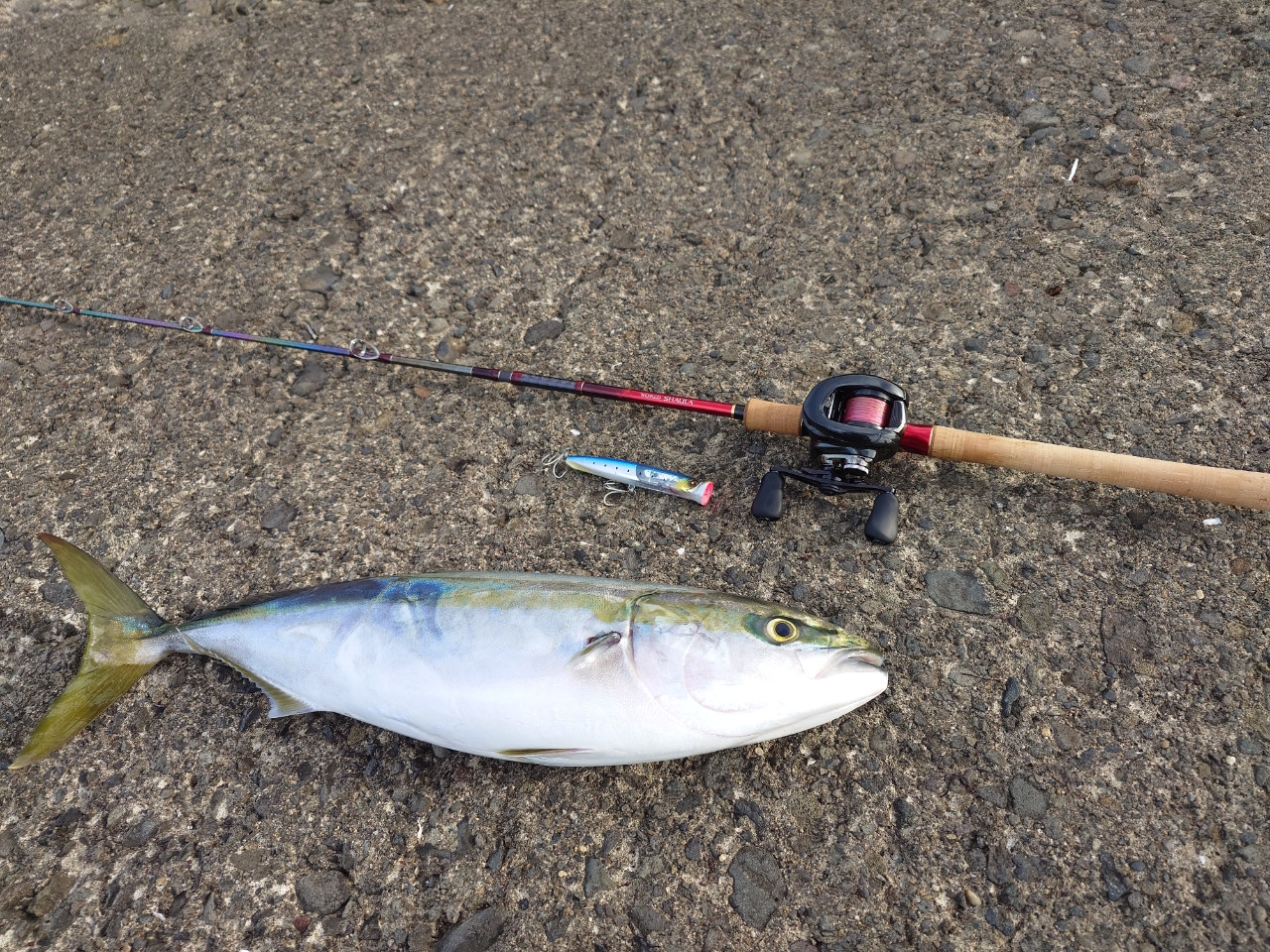 SHIMANO - ワールドシャウラ1604SS シマノ 18 ワールドシャウラ 1604SS-3 (ベイトモデル) / バスロッド