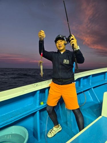 ハリイカの釣果