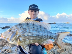 タマンの釣果