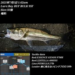 シーバス