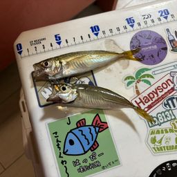 アジ