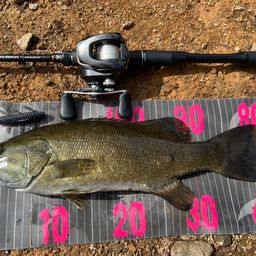 スモールマウスバス