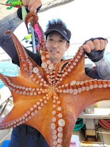 タコの釣果