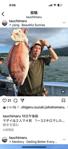 マダイの釣果