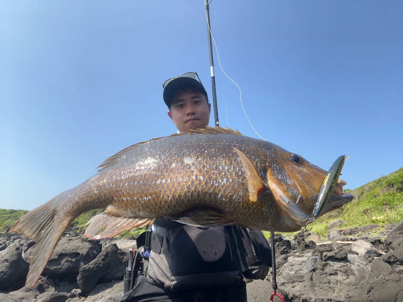 APIA グランデージ アトラス BLACKFIN 102HHの最安値・インプレ