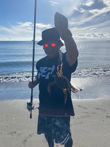 ワタリガニの釣果