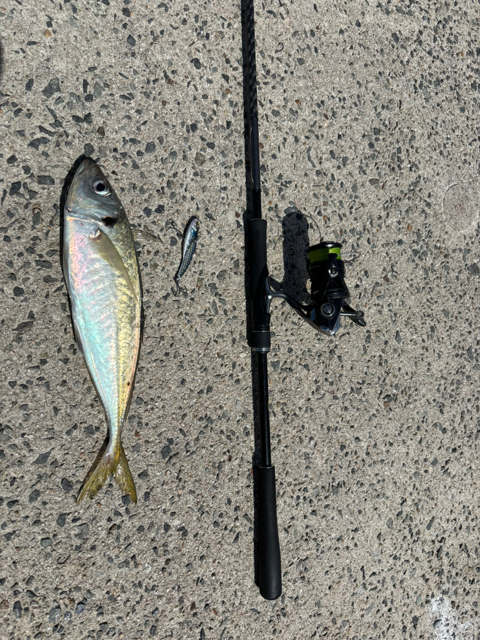 SHIMANO 18ディアルーナ S96Mの最安値・インプレ・釣果 | 本音の