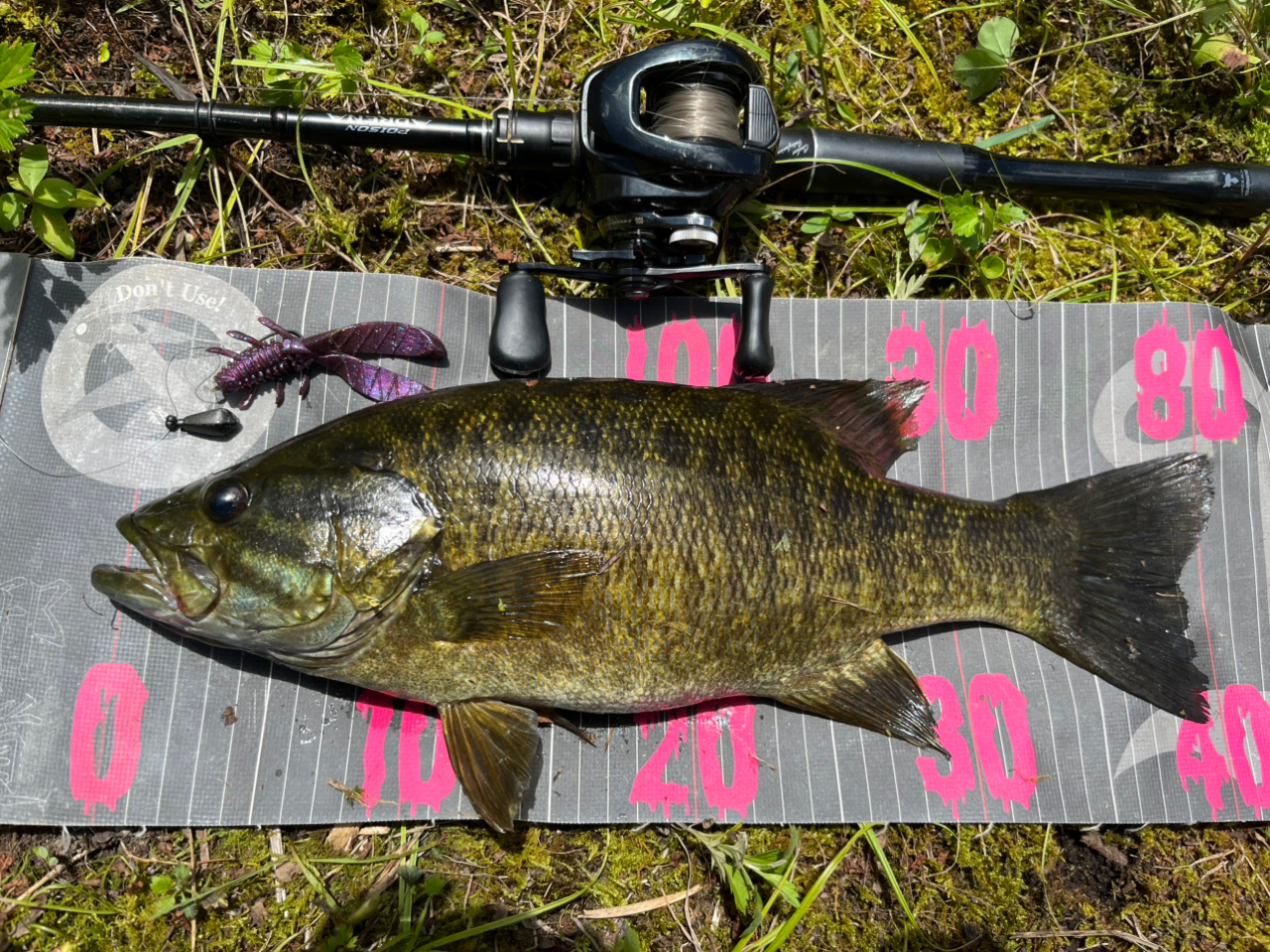 SHIMANO 18ポイズン アドレナ 173MH-2の最安値・インプレ・釣果
