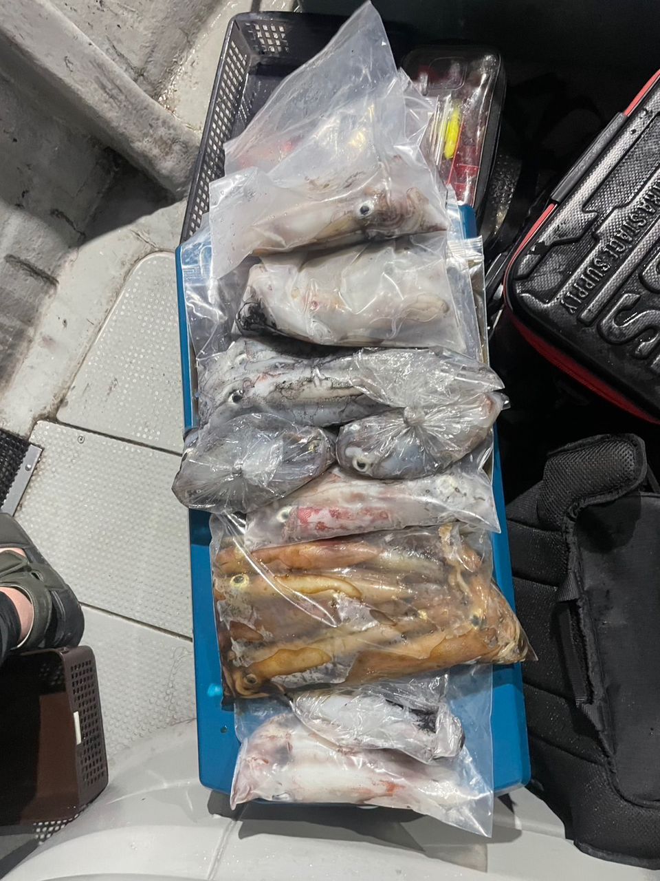 田畑良朗@なつき丸さんの釣果 2枚目の画像