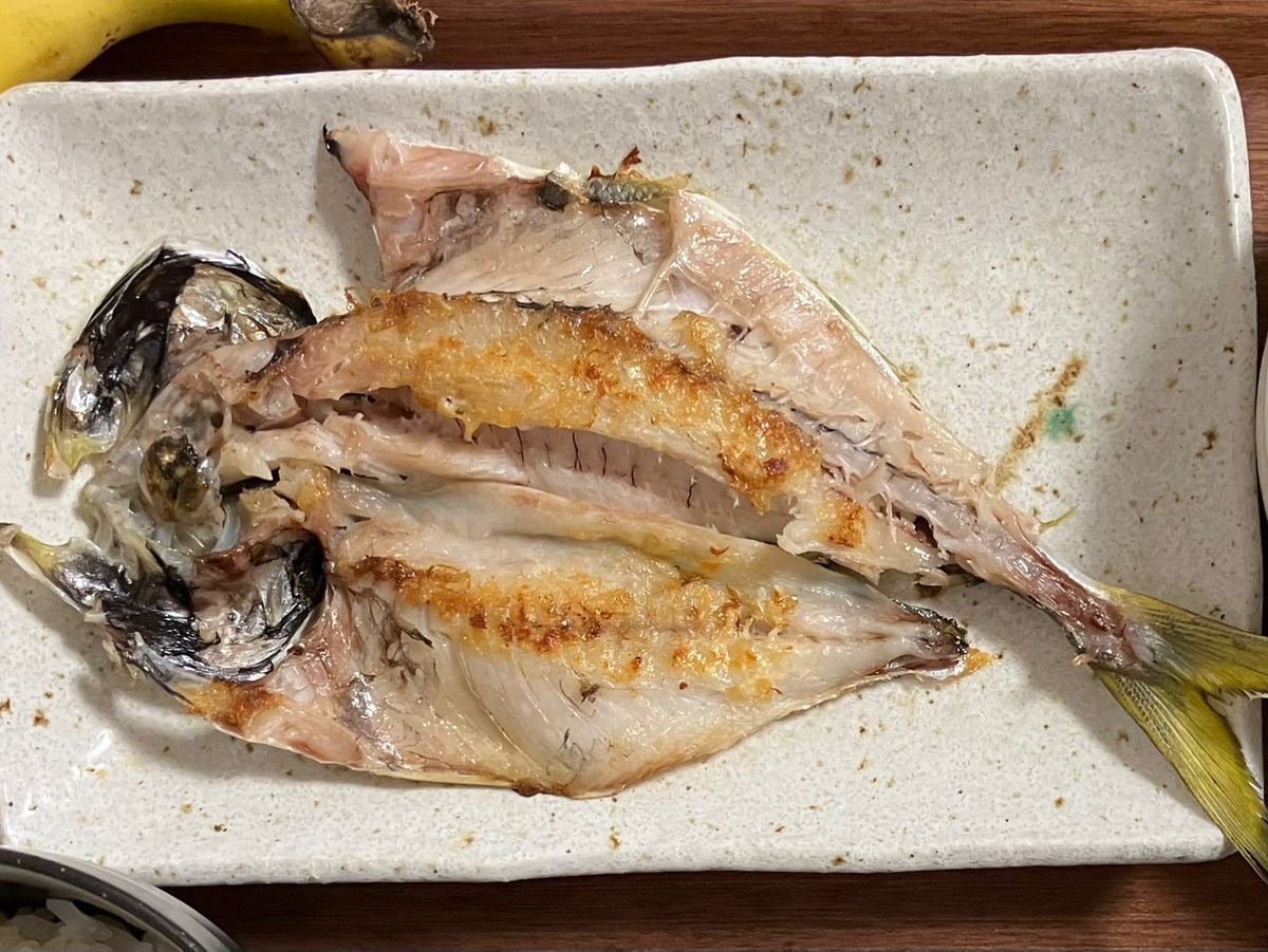 シゲサンさんの釣果 3枚目の画像