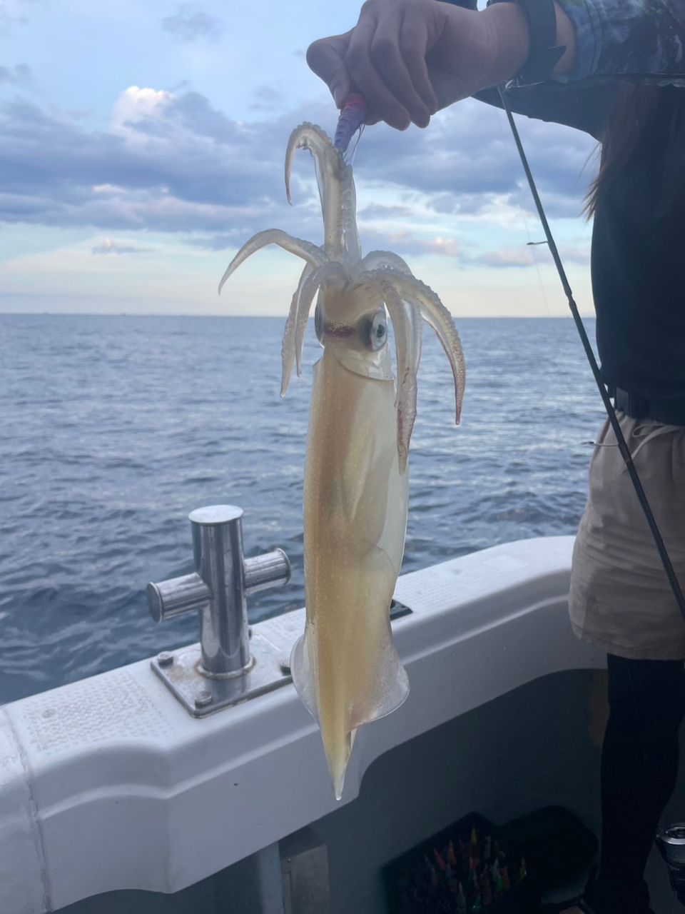 HUMMERⅢ 船長さんの釣果 1枚目の画像
