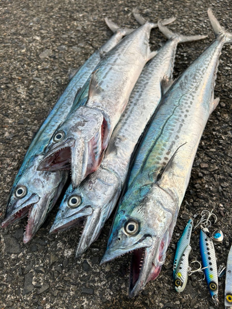 SHIMANO 19ステラ SW 5000XGの最安値・インプレ・釣果 | 本音の