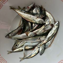 サバ