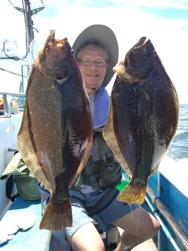 ヒラメの釣果
